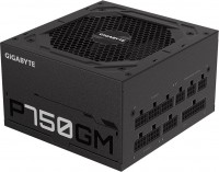 Блок живлення Gigabyte P-Series 2020 P750GM