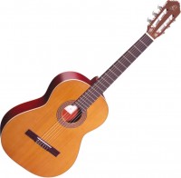 Gitara Ortega R200 