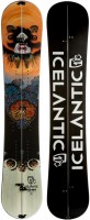 Фото - Лижі Icelantic Gemini Splitboard 158 (2014/2015) 