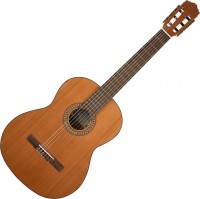 Zdjęcia - Gitara Salvador Cortez CC-22 