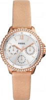 Наручний годинник FOSSIL ES4888 