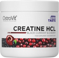 Zdjęcia - Kreatyna OstroVit Creatine HCL Powder 300 g