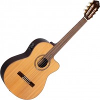 Гітара Ortega RCE159SN 