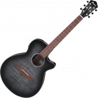 Гітара Ibanez AEG70 