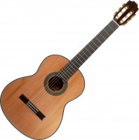 Gitara ALVARO L-50 