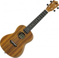 Zdjęcia - Gitara ARIA LAK-1C 