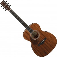 Gitara Ibanez AC340L 