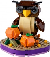 Конструктор Lego Halloween Owl 40497 