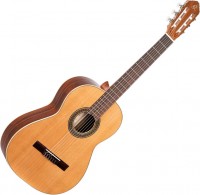 Гітара Ortega R220 