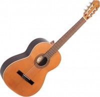 Гітара Ortega R190 