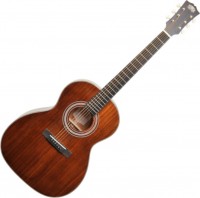 Zdjęcia - Gitara Paramount PFO-1 