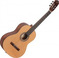 Гітара Ortega RSTC5M 