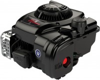 Фото - Двигун Briggs&Stratton 300E Series 