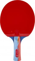 Ракетка для настільного тенісу inSPORTline Shootfair S5 
