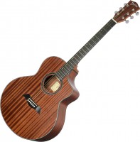 Zdjęcia - Gitara Deviser LS-121n 