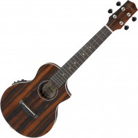 Гітара Ibanez UEW13MEE 