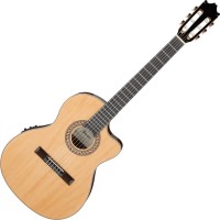 Zdjęcia - Gitara Ibanez GA34STCE 