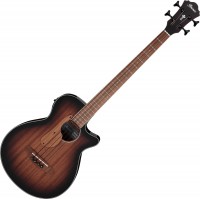 Gitara Ibanez AEGB24E 