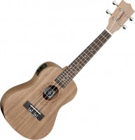 Гітара Tanglewood TWT3E 