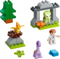 Фото - Конструктор Lego Dinosaur Nursery 10938 