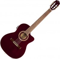 Gitara Ortega RCE138-T4STR 