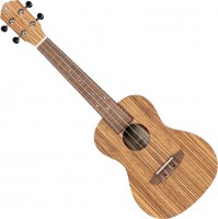Гітара Ortega RFU11ZE-L 
