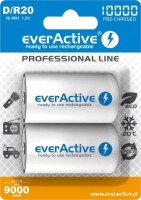 Акумулятор / батарейка everActive Professional Line 2xD 10000 mAh 