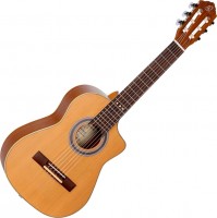 Гітара Ortega RQ39E 