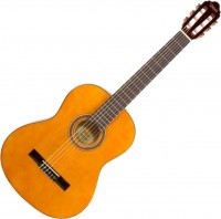 Gitara Valencia 3912E 