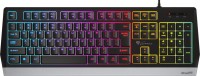 Клавіатура Genesis Rhod 300 RGB 