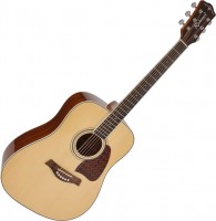 Gitara Richwood RD-17 