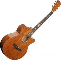 Zdjęcia - Gitara Deviser L-725B 