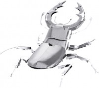 Zdjęcia - Puzzle 3D Fascinations Stag Beetles MMS071 