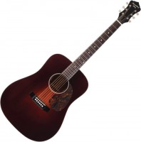 Gitara Recording King RDS-11-FE3-TBR 