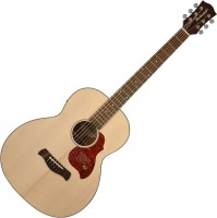 Zdjęcia - Gitara Richwood B-20-E 