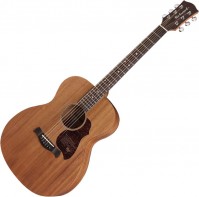 Zdjęcia - Gitara Richwood A-50-E 