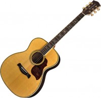 Gitara Richwood A-70-EVA 