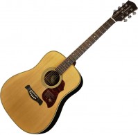 Zdjęcia - Gitara Richwood D-65-VA 