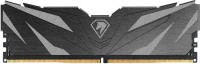 Фото - Оперативна пам'ять Netac Shadow II DDR5 2x16Gb NTSWD5P48DP-32K