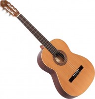 Гітара Ortega R180L 