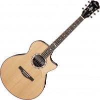 Gitara Ibanez MRC10 
