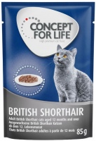 Zdjęcia - Karma dla kotów Concept for Life British Shorthair Ragout Pouch  48 pcs