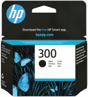 Wkład drukujący HP 300 CC640EE 