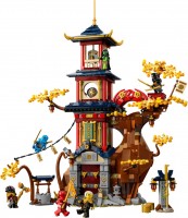 Конструктор Lego Temple of the Dragon Energy Cores 71795 