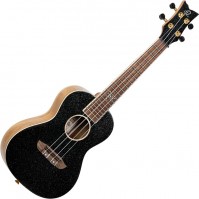 Gitara Ortega RUEL 