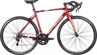 Zdjęcia - Rower Bottecchia Duello Campagnolo 2022 frame 60 