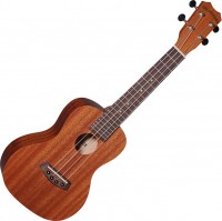 Zdjęcia - Gitara Islander MC-4 