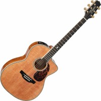 Zdjęcia - Gitara Takamine LTD2022 