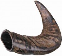 Корм для собак Trixie Buffalo Chewing Horn M 1 шт