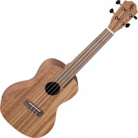 Gitara Baton Rouge VX1/CE 